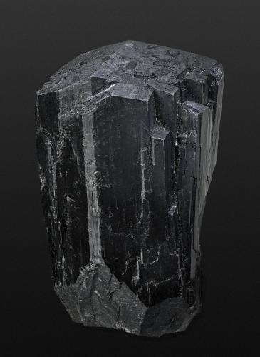 Schorl<br />Erongo Mountain, Usakos, Erongo Region, Namibia<br />40 x 40 x 70 mm<br /> (Author: Rob Schnerr)