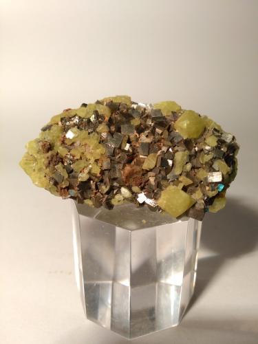 Sulphur, Pyrite<br />Niccioleta Mine, Massa Marittima, Grosseto Province, Tuscany, Italy<br />59 x 35 mm<br /> (Author: Sante Celiberti)