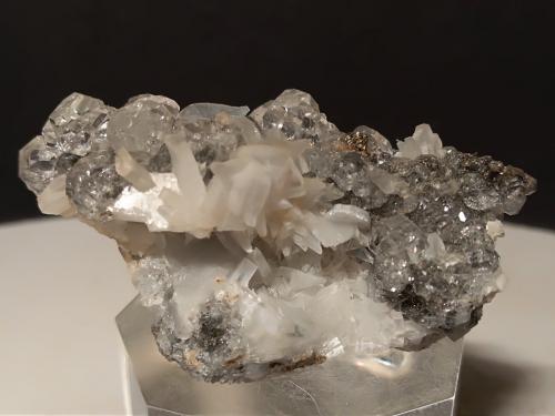 Fluorite, Anhydrite, Pyrite<br />Mina Campiano, Montieri, Provincia Grosseto, Toscana, Italia<br />57 x 30 mm<br /> (Author: Sante Celiberti)