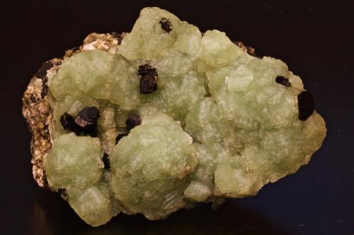 Babingtonite on Prehnite<br />Holyoke 'traps', Mount Holyoke Range, Hampshire County, Massachusetts, USA<br />12 cm. wide x 6 cm. high.<br /> (Author: vic rzonca)