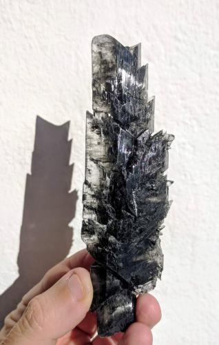 Yeso<br />Villarroya Mines, Villarroya, Comarca de Arnedo, La Rioja, Spain<br />4,0 x 13,6 cm.<br /> (Autor: Carles)