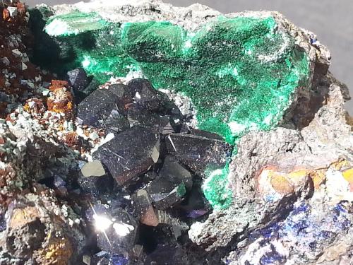Azurite and Malachite on Cuprite<br />Tongshan Mine, Guichi District, Chizhou Prefecture, Anhui Province, China<br />8 x 5 cm<br /> (Author: Volkmar Stingl)