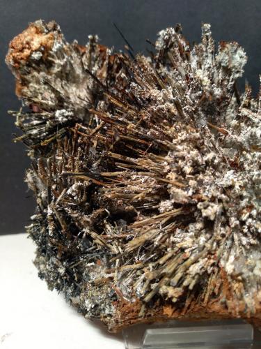 Stibnite, Stibiconite, Gypsum<br />Torre Carige, Capalbio, Provincia Grosseto, Toscana, Italia<br />155 x 132 mm<br /> (Author: Sante Celiberti)