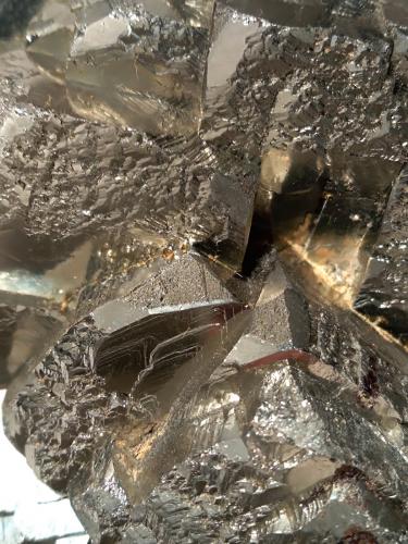 Pyrite<br />Mina Gavorrano, Gavorrano, Provincia Grosseto, Toscana, Italia<br />113 x 92 mm<br /> (Author: Sante Celiberti)