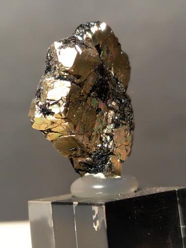Pyrite, Hematite<br />Rio Marina, Isla de Elba, Provincia Livorno, Toscana, Italia<br />24 x 19,5 x 7 mm<br /> (Author: Sante Celiberti)