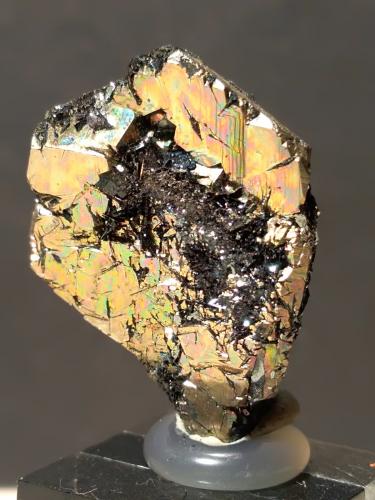 Pyrite, Hematite<br />Rio Marina, Isla de Elba, Provincia Livorno, Toscana, Italia<br />24 x 19,5 x 7 mm<br /> (Author: Sante Celiberti)