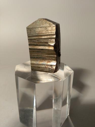 Pyrite<br />Minas Boccheggiano, Montieri, Provincia Grosseto, Toscana, Italia<br />34,3 x 23,5 x 9 mm<br /> (Author: Sante Celiberti)