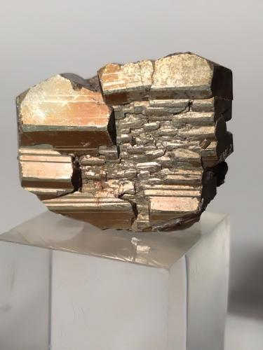 Pyrite<br />Mina Gavorrano, Gavorrano, Provincia Grosseto, Toscana, Italia<br />20,2 x 15,7 x 8 mm<br /> (Author: Sante Celiberti)
