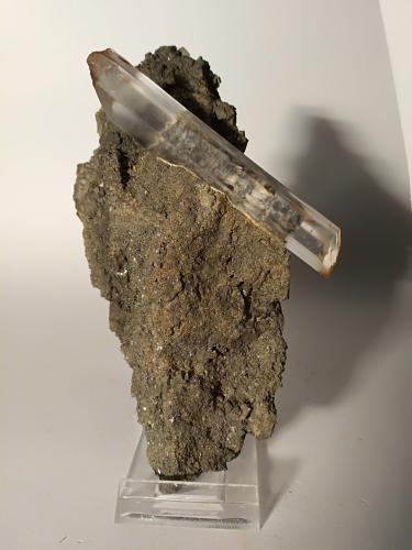 Gypsum, Pyrite<br />Niccioleta Mine, Massa Marittima, Grosseto Province, Tuscany, Italy<br />146 x 86 mm<br /> (Author: Sante Celiberti)