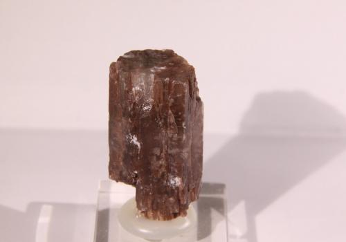 Aragonite<br />Spain<br />22mm x 40mm x 17mm<br /> (Author: Firmo Espinar)