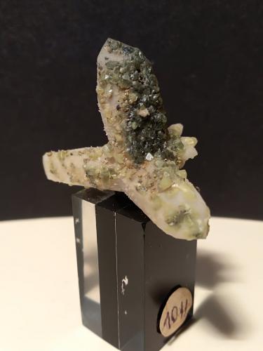 Sulphur, Quartz<br />Gavorrano Mine, Gavorrano, Grosseto Province, Tuscany, Italy<br />38 x 28 mm<br /> (Author: Sante Celiberti)