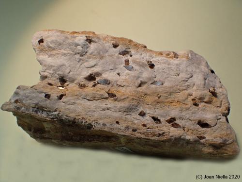 Dolomita (variedad teruelita)<br />Vilanova de la Sal, Comarca Noguera, Lérida / Lleida, Cataluña / Catalunya, España<br />85 x 45 mm<br /> (Autor: Joan Niella)