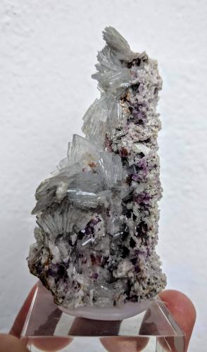 Barita, Fluorita<br />San Camilo Mine, Vista Alegre, Cartagena, Comarca Campo de Cartagena, Region of Murcia (Murcia), Spain<br />4,0 x 8,5 cm.<br /> (Autor: Carles)