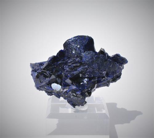 Azurite<br />Milpillas Mine, Cuitaca, Municipio Santa Cruz, Sonora, Mexico<br />60mm x45mm x 30mm<br /> (Author: Philippe Durand)