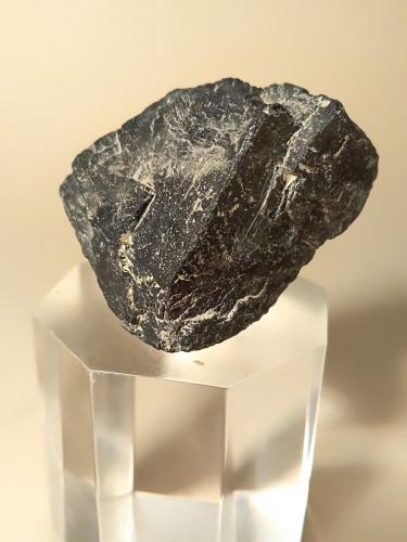 Galena<br />Gavorrano Mine, Gavorrano, Grosseto Province, Tuscany, Italy<br />37 x 32 mm<br /> (Autor: Sante Celiberti)