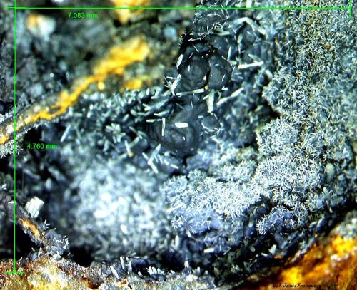 Piromorfita y Coronadita.<br />Minas Can Magre, Vidreres, Comarca La Selva, Gerona / Girona, Cataluña / Catalunya, España<br />7´083 x 4´750 mm.<br /> (Autor: Jesus Franquesa Baucells)