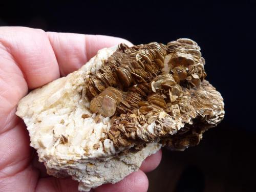 Muscovita, Albita<br />Galiléia, Vale do Rio Doce, Minas Gerais, Brazil<br />9 x 6 cm.<br /> (Autor: javier ruiz martin)