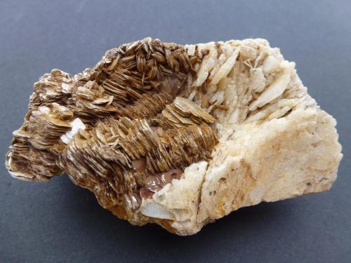 Muscovita, Albita<br />Galiléia, Vale do Rio Doce, Minas Gerais, Brazil<br />9 x 6 cm.<br /> (Autor: javier ruiz martin)