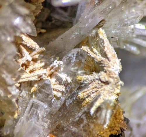 Fluorcalcioroméita, Barita<br />Santa Matilde cut, Berja mining group, Las Herrerías, Almagrera Range, Cuevas del Almanzora, Comarca Levante Almeriense, Almería, Andalusia, Spain<br />C.d.v. 1,0 x 0,75 cm.<br /> (Autor: Carles)