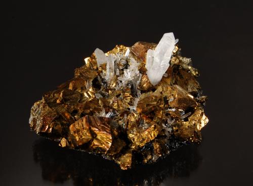 Chalcopyrite and quartz<br />Boldut Mine, Cavnic mining area, Cavnic, Maramures, Romania<br />5.5 cm x 7.5 cm.<br /> (Author: Michael Shaw)