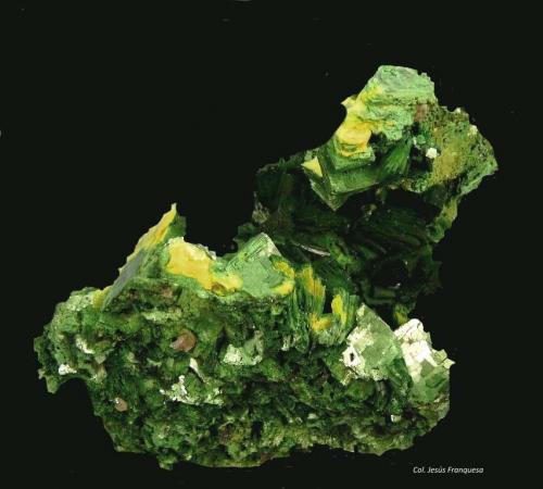 Torbernita y Autunita.<br />Margabal Mine, Entraygues-sur-Truyère, Lot et Truyère, Rodez, Aveyron, Occitanie, France<br />55x50 mm.<br /> (Autor: Jesus Franquesa Baucells)