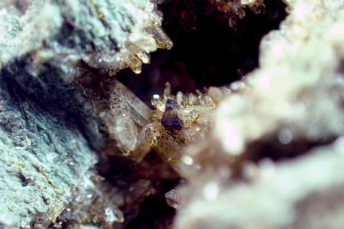 Anatasa y Cuarzo<br />La Mouline, Bennac, Alban-Le Fraysse area, Tarn, Occitanie, France<br />Medida: 3,4 x 3,0 x 2,4 cms<br /> (Autor: Joan Martinez Bruguera)