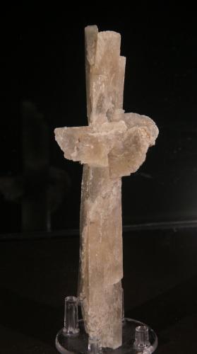 Gypsum<br />Valle de Cerrato, Comarca Cerrato, Palencia, Castile and León, Spain<br />48mm x 153mm x 40mm<br /> (Author: Firmo Espinar)