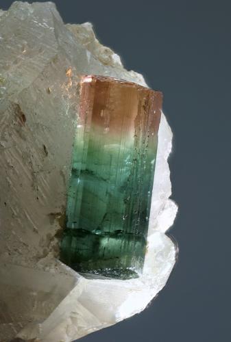 Elbaita<br />Taquaral, Itinga, Vale do Jequitinhonha, Minas Gerais, Brasil<br />cristal 8x22mm<br /> (Autor: Ramon A  Lopez Garcia)