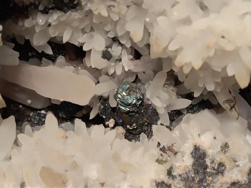 Quartz, Quartz (variety amethystine; variety scepter),  Dolomite, Pyrite, Galena, Sphalerite, Berthierite<br />Gavorrano Mine area, Gavorrano, Grosseto Province, Tuscany, Italy<br />24 x 15 mm<br /> (Author: Sante Celiberti)