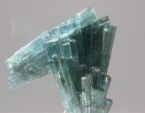 Elbaíta (variedad indicolita)<br />Mina Pirineus, Monte Belo, Itinga, Vale do Jequitinhonha, Minas Gerais, Brasil<br />40x40 mm<br /> (Autor: Ramon A  Lopez Garcia)