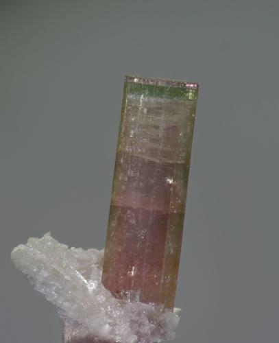 Elbaíta<br />Paprok, Distrito Kamdesh, Provincia Nuristan, Afganistán<br />12x52 mm<br /> (Autor: Ramon A  Lopez Garcia)
