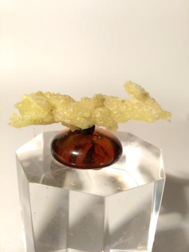 Sulfur<br />Pereta Mine, Pereta, Magliano in Toscana, Grosseto Province, Toscana, Italy<br />39 x 12 mm<br /> (Author: Sante Celiberti)