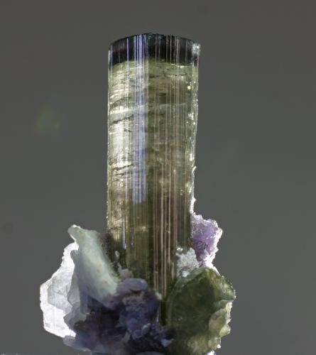 Elbaíta<br />Mina Xanda, Virgem da Lapa, Vale do Jequitinhonha, Minas Gerais, Brasil<br />cristal 12x50 mm<br /> (Autor: Ramon A  Lopez Garcia)