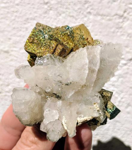 Calcita, Fluorita, Pirita<br />Villabona Mines, Barrio de la Estación, Villabona, Llanera, Comarca del Nora, Principality of Asturias (Asturias), Spain<br />7,0 x 6,5 cm<br /> (Autor: Carles)