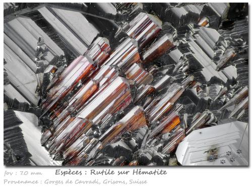 Rutile on Hematite<br />Cavradi, Valle Curnera, Tujetsch (Tavetsch), Valle Vorderrhein, Grisones (Grischun; Graubünden), Suiza<br />fov 7.0 mm<br /> (Author: ploum)