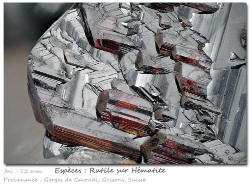 Rutile on Hematite<br />Cavradi, Valle Curnera, Tujetsch (Tavetsch), Valle Vorderrhein, Grisones (Grischun; Graubünden), Suiza<br />fov 7.2 mm<br /> (Author: ploum)