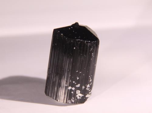 Dravite (Tourmaline Group)<br />Minas Gerais, Brazil<br />22mm x 34mm x 20mm<br /> (Author: Firmo Espinar)