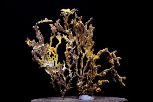 Copper<br />Andrássy I Mine, Rudabányai Mountains, Rudabánya, Kazincbarcika District, Borsod-Abaúj-Zemplén, Hungary<br />67 x 62 mm<br /> (Author: Gerhard Brandstetter)