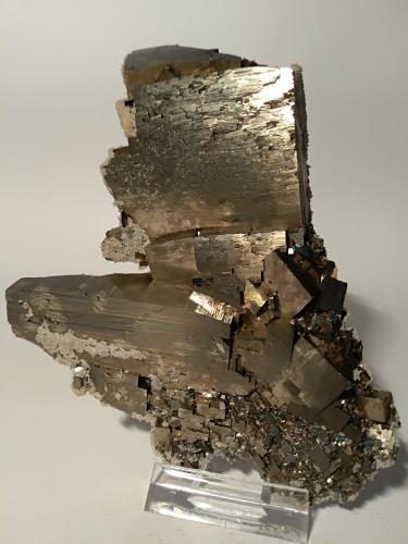 Pyrite, Calcite<br />Mina Niccioleta, Massa Marittima, Provincia Grosseto, Toscana, Italia<br />14 x 10 cm<br /> (Author: Sante Celiberti)