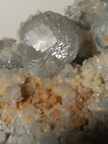 Fluorite, Anhydrite, Ankerite<br />Mina Campiano, Montieri, Provincia Grosseto, Toscana, Italia<br />13,5 x 13,5 mm<br /> (Author: Sante Celiberti)
