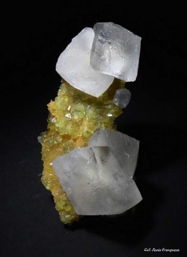 Calcita y Fluorita.<br />Pedrera Berta, Turó de Can Domènech, Serra de Roques Blanques, Sant Cugat del Vallès-El Papiol, Comarca Vallès Occidental / Baix Llobregat, Barcelona, Cataluña / Catalunya, España<br />39x24 mm.<br /> (Autor: Jesus Franquesa Baucells)
