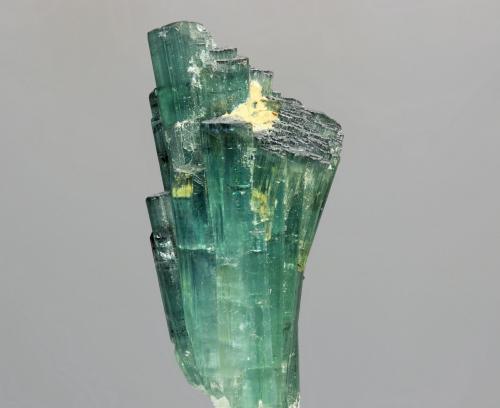 Elbaita (variedad indicolita)<br />Mina Pirineus, Monte Belo, Itinga, Vale do Jequitinhonha, Minas Gerais, Brasil<br />cristal 20x45 mm<br /> (Autor: Ramon A  Lopez Garcia)