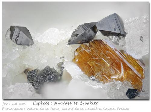 Brookite and Anatase<br />Vallon de la Rave, La Lauzière Massif, Saint-Jean-de-Maurienne, Savoie, Auvergne-Rhône-Alpes, France<br />fov 1.8 mm<br /> (Author: ploum)