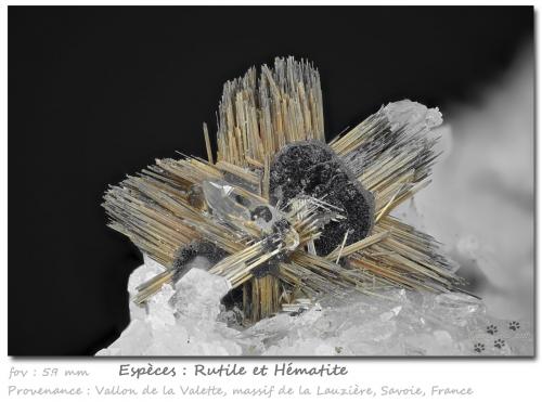 Rutile and Hematite<br />Vallon de la Valette, Macizo La Lauzière, Saint-Jean-de-Maurienne, Saboya, Auvergne-Rhône-Alpes, Francia<br />fov 5.9 mm<br /> (Author: ploum)