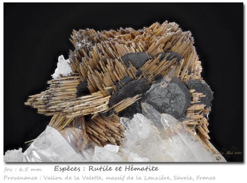 Rutile and Hematite<br />Vallon de la Valette, La Lauzière Massif, Saint-Jean-de-Maurienne, Savoie, Auvergne-Rhône-Alpes, France<br />fov 6.5 mm<br /> (Author: ploum)