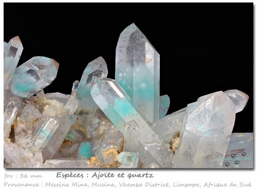 Ajoite in Quartz<br />Mina Messina, Musina (Messina), Distrito Vhembe, Provincia Limpopo, Sudáfrica<br />fov 36 mm<br /> (Author: ploum)