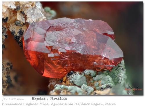 Roselite<br />Distrito minero Bou Azzer, Región Drâa-Tafilalet, Marruecos<br />fov 5.9 mm<br /> (Author: ploum)