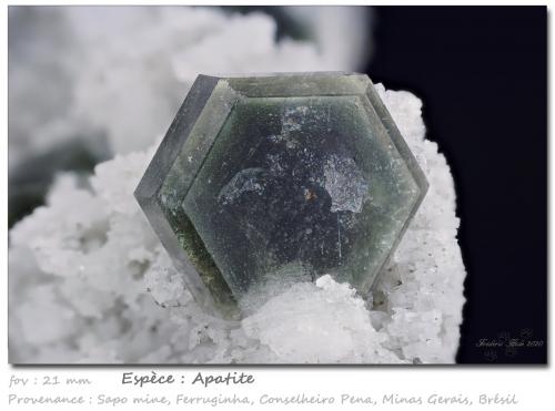 Fluorapatite<br />Mina Sapo, Ferruginha, Conselheiro Pena, Vale do Rio Doce, Minas Gerais, Brasil<br />fov 21 mm<br /> (Author: ploum)