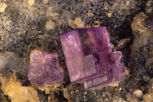 Fluorite<br />Gams bei Hieflau, Landl, Liezen District, Styria/Steiermark, Austria<br />largest crystal 4 mm<br /> (Author: Gerhard Brandstetter)