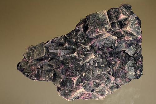 Fluorite<br />Summit cleft, Weißeck Mountain area, Murwinkel, Lungau, Salzburg, Austria<br />13 x 10 cm<br /> (Author: Gerhard Brandstetter)